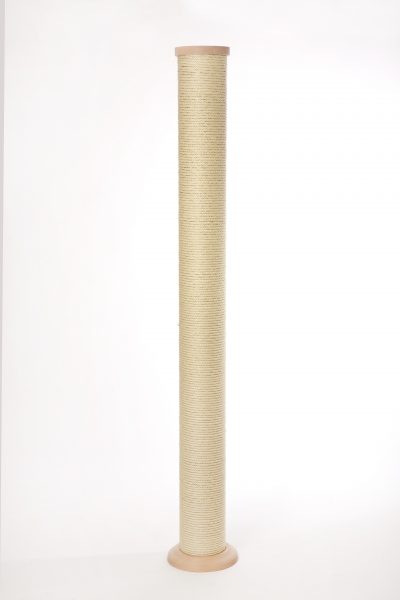 Stamm - Durchmesser 22 cm (Kopie)