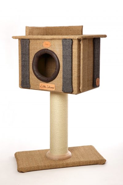 Little Schuma - Katzenbau