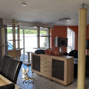 Landschaft Serval