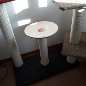 Maja