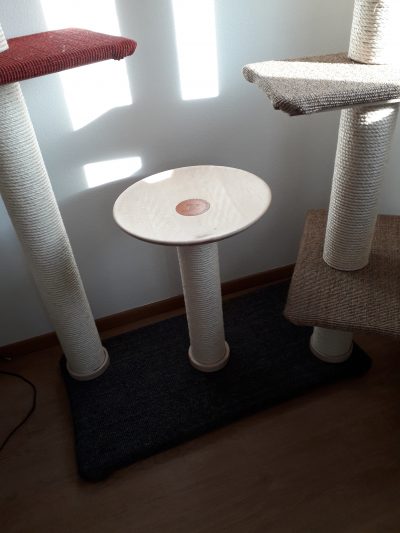 Maja