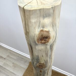 Zirbenstamm