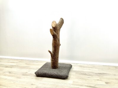 Der Einfache Schöne - Image 2