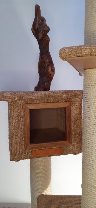 Balu - Image 3