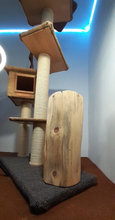 Big Tower - Image 3