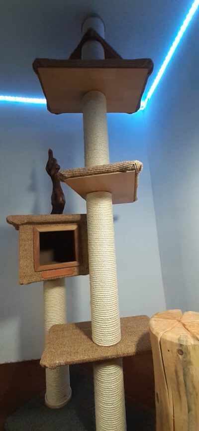 Big Tower - Image 7