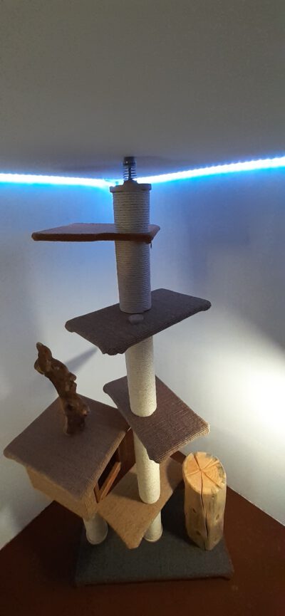Big Tower