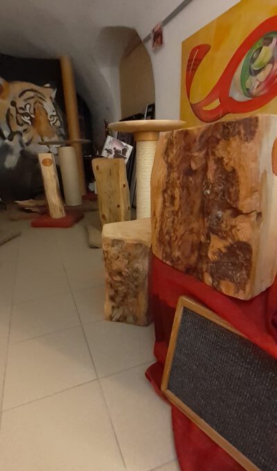 Infoausstellung Catsadventure - Image 12