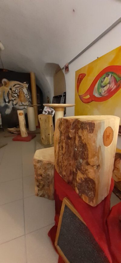 Infoausstellung Catsadventure - Image 13