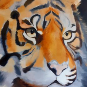 Infoausstellung Catsadventure