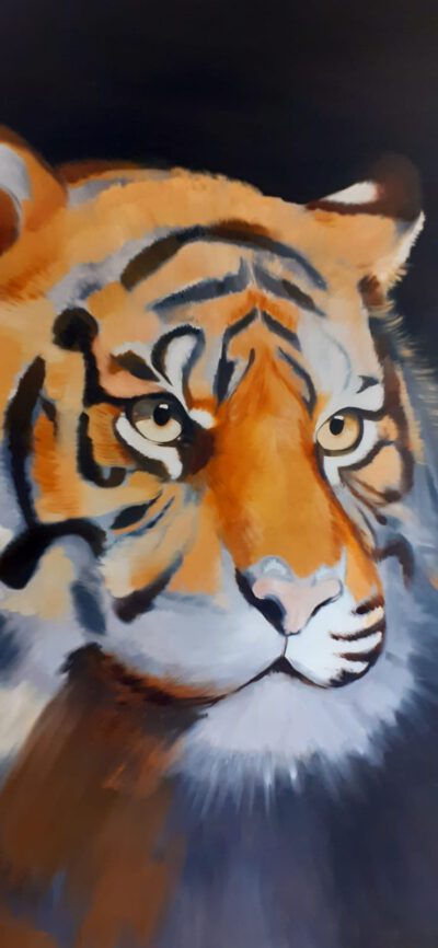 Infoausstellung Catsadventure