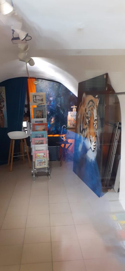 Infoausstellung Catsadventure - Image 2